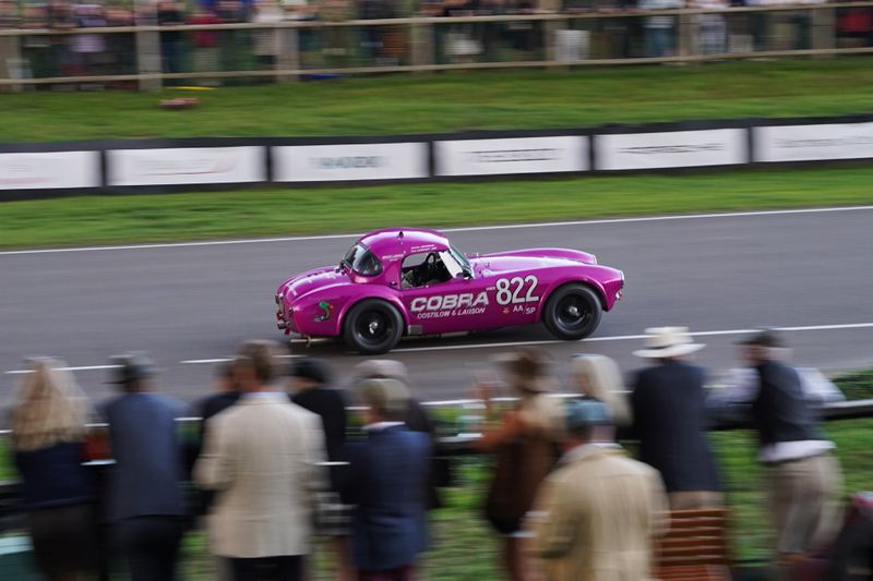 Hilton & Moss attend Goodwood Revival 2025