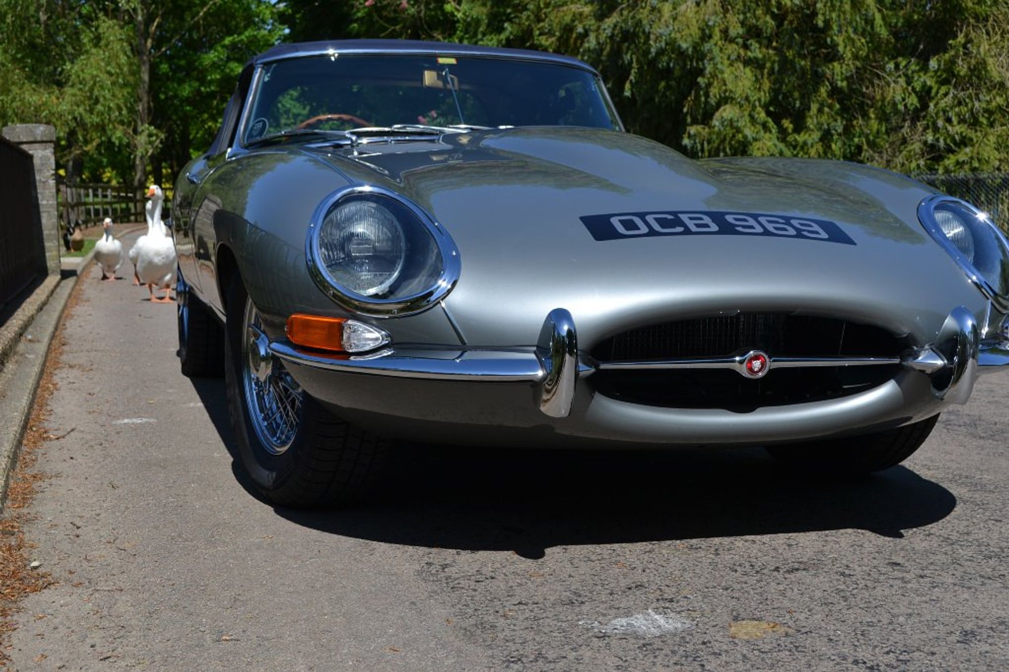 Jaguar E-type Roadster Restoration