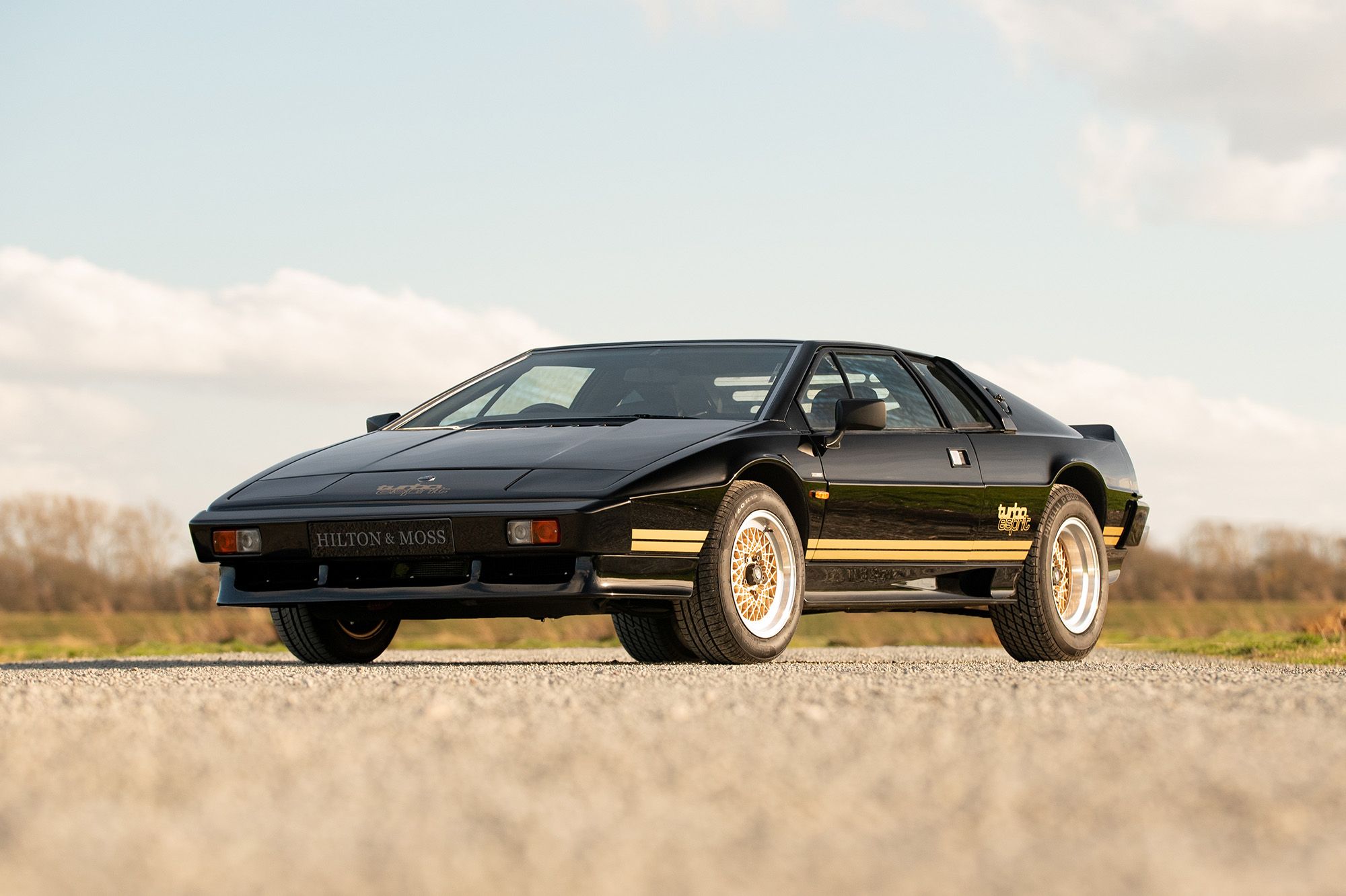 Lotus Restoration