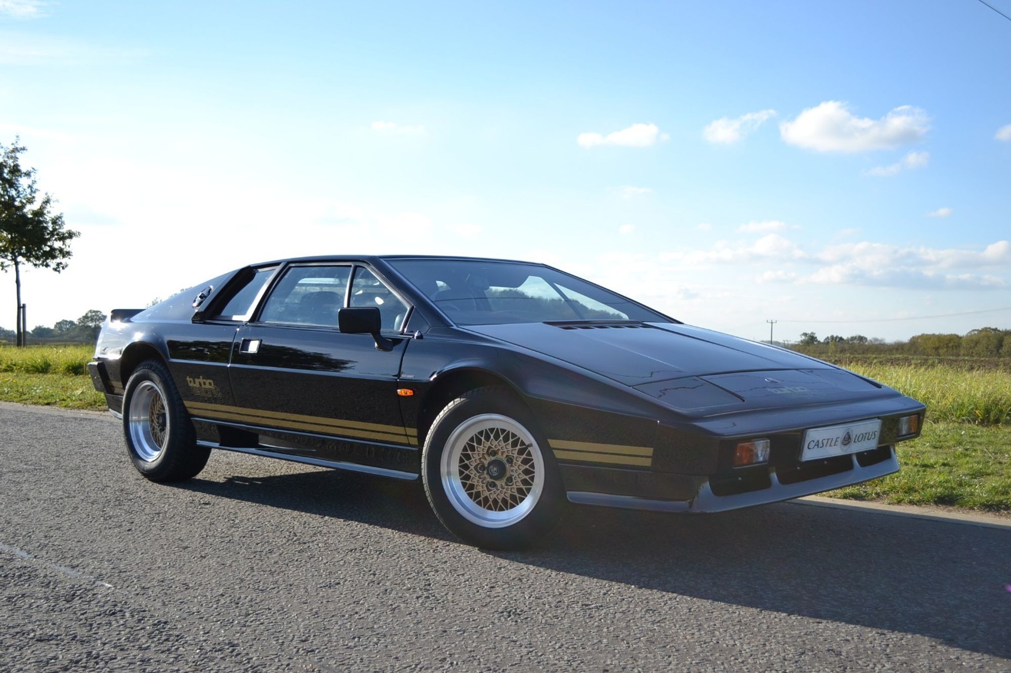 1984 Lotus Esprit
